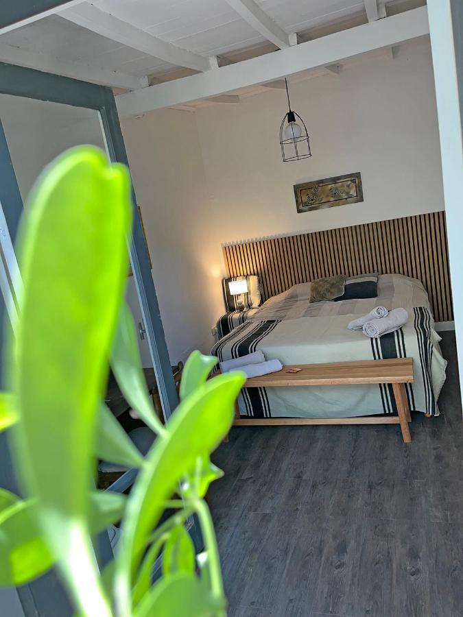 Homestay Con Piscina Y Parque *